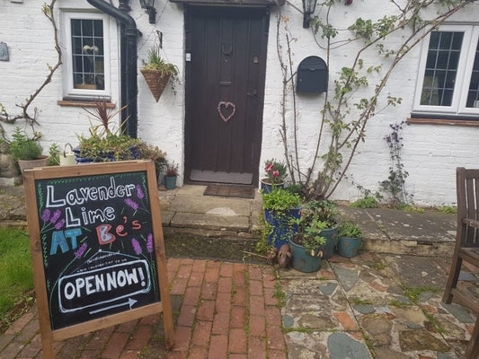 Shopping at Be's - LavenderLime